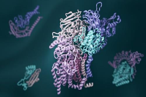 شناسایی خانواده جدیدی از ژن ها در باکتری روده با کمک هوش مصنوعی