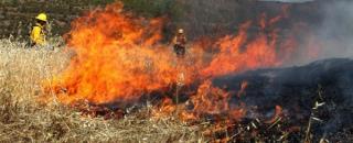 تولید یك ژل برای پیش گیری از آتش سوزی جنگل ها
