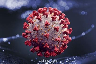 چینی ها ۳۳ جهش در ویروس كرونا كشف كردند