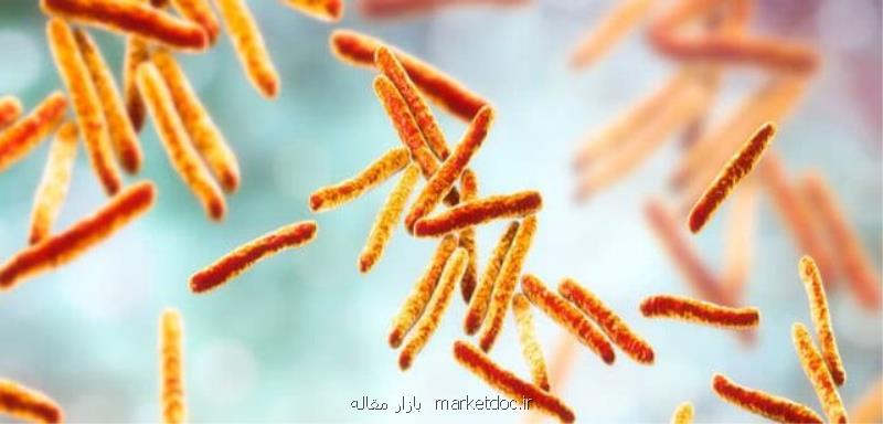 علل ژنتیکی مقاومت دارویی در بیماری سل شناسایی شد