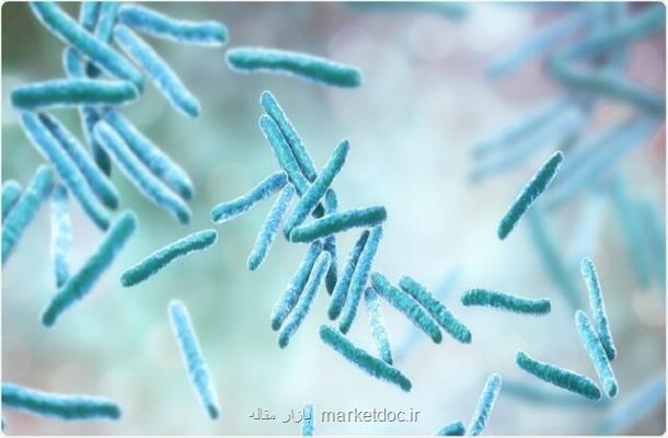 مقاومت در مقابل کروناویروس با کمک باکتری عامل سل!