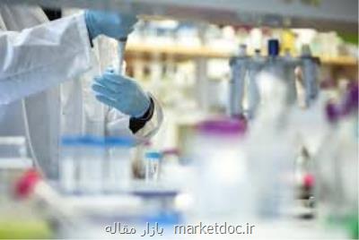 احتیاج به عزم جدی برای عرضه پژوهش های بنیادی و محصول محور