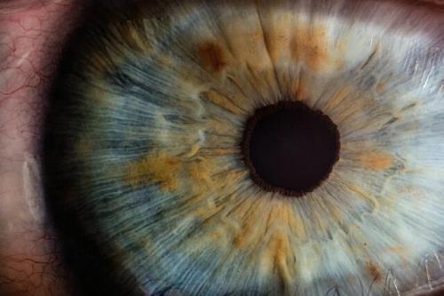 نقش سیستم ایمنی در حفاظت از چشم