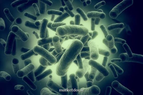 نابودی ده ها نوع از سرسخت ترین باکتری ها با ابداع یک آنتی بیوتیک جدید