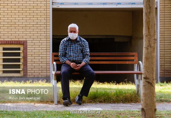 اجرای 2 طرح ملی در حوزه حقوق سالمندان