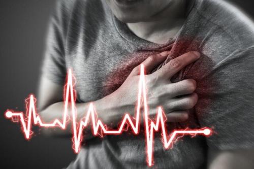 نقش دارچین در پیشگیری و درمان بیماریهای قلبی
