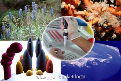 راه اندازی نخستین پژوهشکده نانوتکنولوژی کشاورزی در کشور