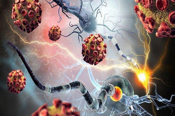 استخراج نتایج جالب از محیط تومور سرطانی با یک تکنولوژی جدید