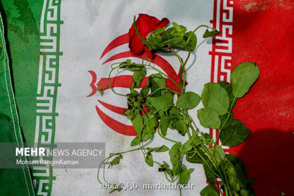 جامعه جهانی در مقابل تروریسم علمی در ایران سکوت نکند