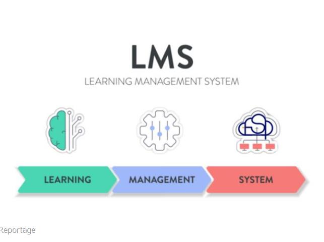 اهمیت LMS در آموزش سازمان بزرگ