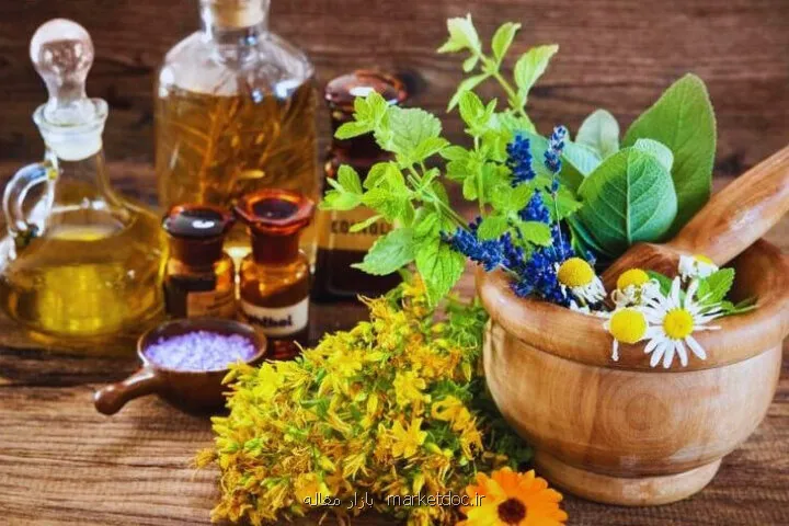 پیوند ظرفیتهای علمی جهان اسلام برای گسترش فناوری های گیاهان دارویی