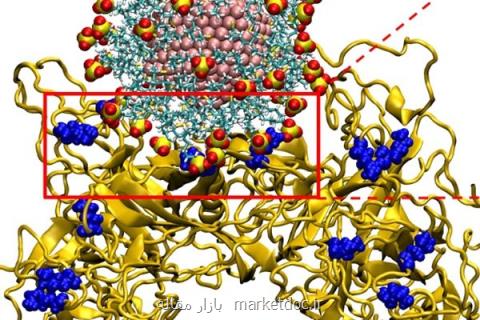 ابداع نانوذراتی كه ویروس های ایدز و زگیل را نابود می كند