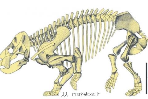كشف بقایای ۲۰۰ میلیون ساله حیوانی به اندازه یك فیل