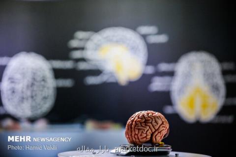 مهمترین دستاوردهای علوم شناختی، راه اندازی پردیس و انجمنهای مغز