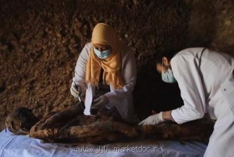 مقبره ای پر از موش، گربه و شاهین مومیایی شده در مصر كشف شد