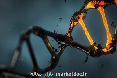مشخصات ژنتیكی گستره ژنومی جمعیت ایرانی برای نخستین بار شناسایی شد