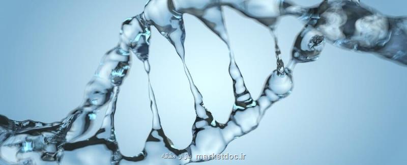 نیروی جدیدی كه موجب ثبات DNA می شود