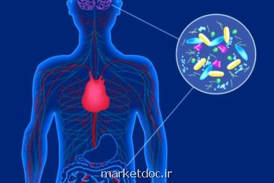 نقش پاتوژن های فرصت طلب در مبتلاشدن به پاركینسون كشف شد