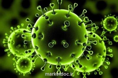 آخرین یافته ها از جهش ویروس كرونا در ایران